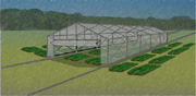 When finished later this year, the first of four Missouri rain shelters will give MU scientists a new tool to simulate drought conditions on plants.  Illustration by Don Connor.